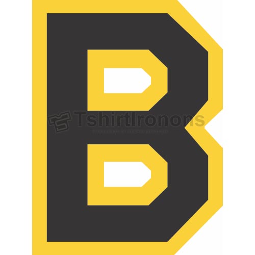 Boston Bruins T-shirts Iron On Transfers N71